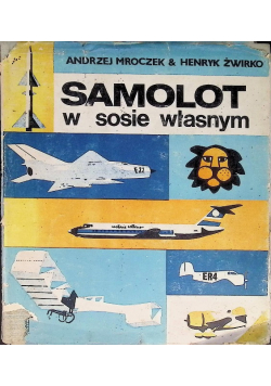 Samolot w sosie własnym