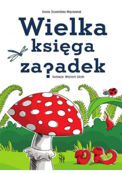 Wielka księga zagadek