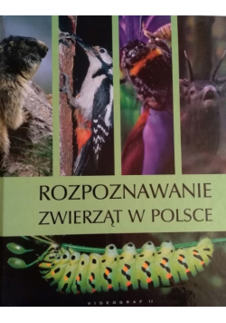 Rozpoznawanie zwierząt w Polsce