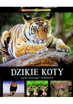 Dzikie koty. Zwinne, fascynujące i niebezpieczne