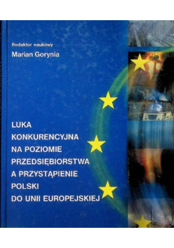 Luka konkurencyjna na poziomie przedsiębiorstwa