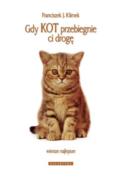 Gry kot przebiegnie ci drogę