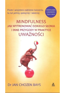 Mindfulness Jak wytrenować dzikiego słonia i inne przygody w praktyce uważności