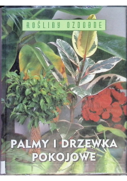 Palmy i drzewka pokojowe