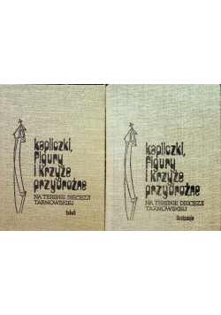 Kapliczki figury i krzyże przydrożne Ilustracje / Tekst