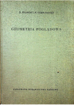 Geometria poglądowa