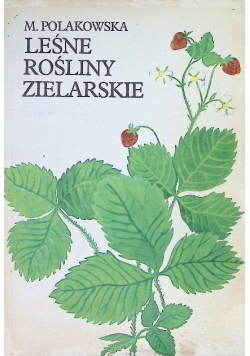 Leśne rośliny zielarskie