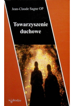 Towarzyszenie duchowe