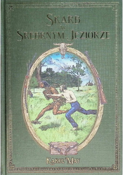 Skarb w srebrnym jeziorze Tom II