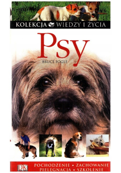 Psy