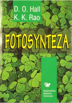 Fotosynteza