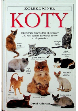 Koty