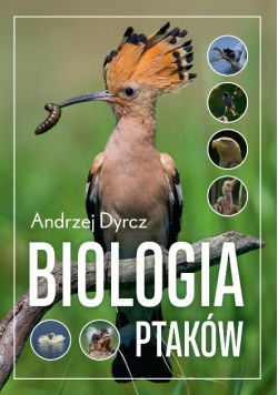 Biologia ptaków
