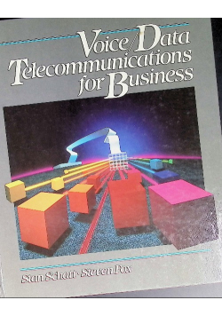 Voice/Data Telecommunications for Business