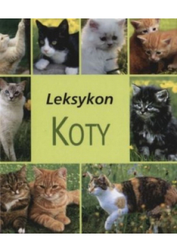 Leksykon koty