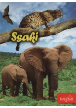 Ssaki
