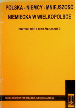 Polska Niemcy Mniejszość Niemiecka w Wielkopolsce