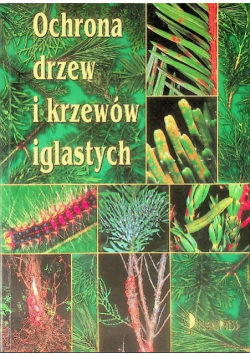 Ochrona drzew i krzewów iglastych