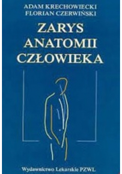 Zarys anatomii człowieka
