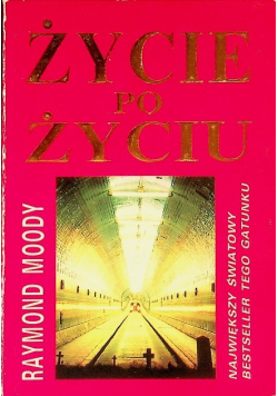 Życie po życiu