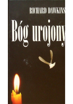 Bóg urojony
