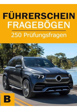 Fuhrerschein Fragebogen