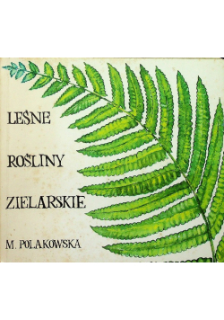 Leśne rośliny zielarskie