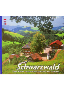 Schwarzwald Tiefe Walder romantische Landschaf