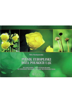Pełnik Europejski. Róża polskich łąk