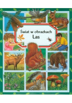 Świat w obrazkach Las