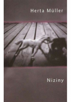 Niziny