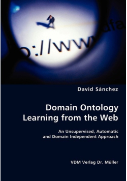 Domain Ontology Learning from the Web