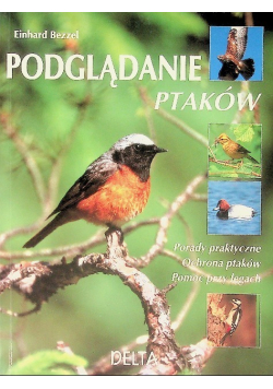 Podglądanie ptaków