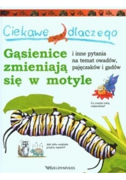 Gąsienice zmieniają się w motyle