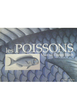 Les poissons Bloch, Marcus-Eliezer