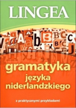 Gramatyka języka niderlandzkiego z praktycznymi przykładami