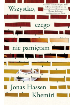 Wszystko czego nie pamiętam