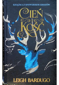 Trylogia Grisza Tom 1 Cień i kość