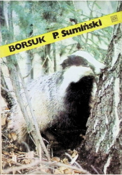 Borsuk