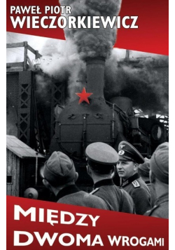 Między dwoma wrogami