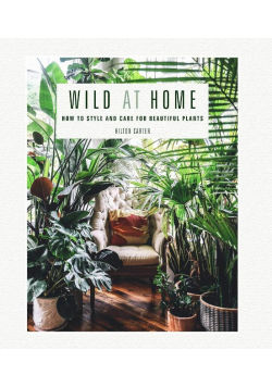 Wild at Home: How to style and care for beautiful plants