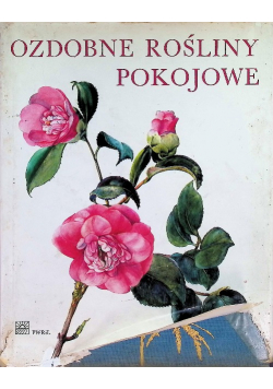 Ozdobne Rośliny Pokojowe