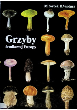 Grzyby środkowej Europy