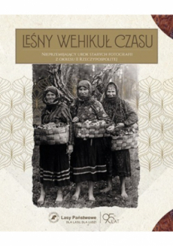 Leśny wehikuł czasu
