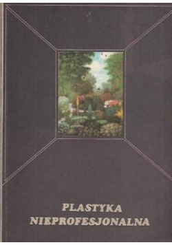 Plastyka nieprofesjonalna