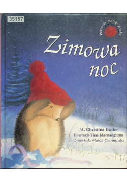 Zimowa noc
