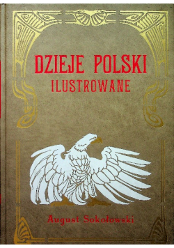 Dzieje Polski Ilustrowane Tom VI Reprint z 1905 r.