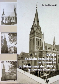 Dzieje kościoła katolickiego między Odrą a Łebą od reformacji do 1945 roku