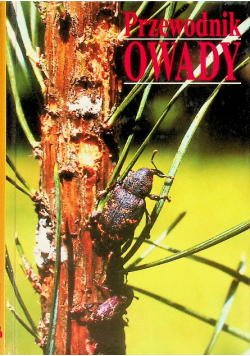 Przewodnik Owady
