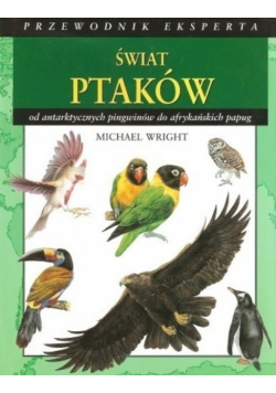 Świat ptaków